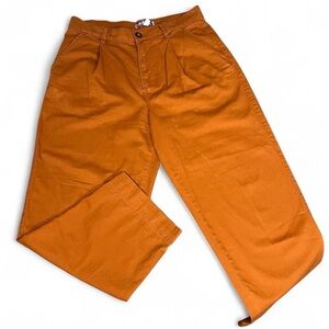 Urban Outfitters men’s rust Ultra-Wide Leg‎ Chino Pants 30”